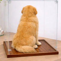 Customized full-body dog portrait