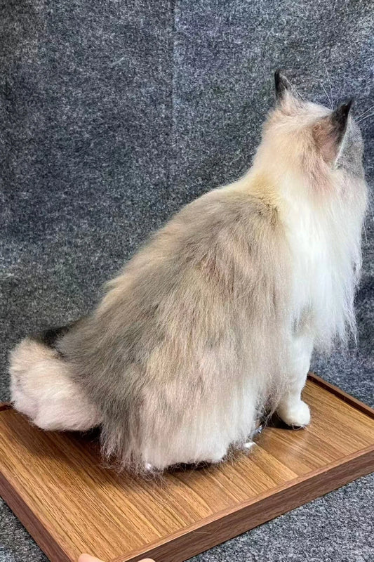 Customized full-body cat portrait
