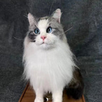 Customized full-body cat portrait