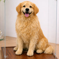 Customized full-body dog portrait