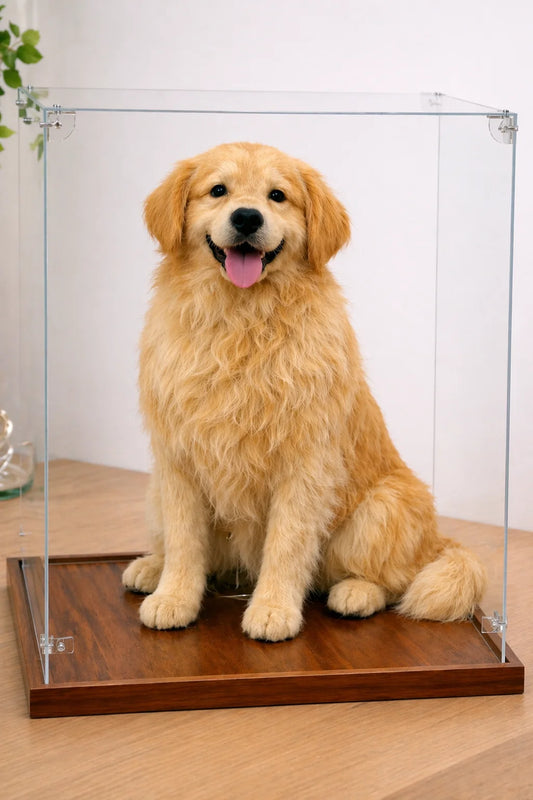 Customized full-body dog portrait