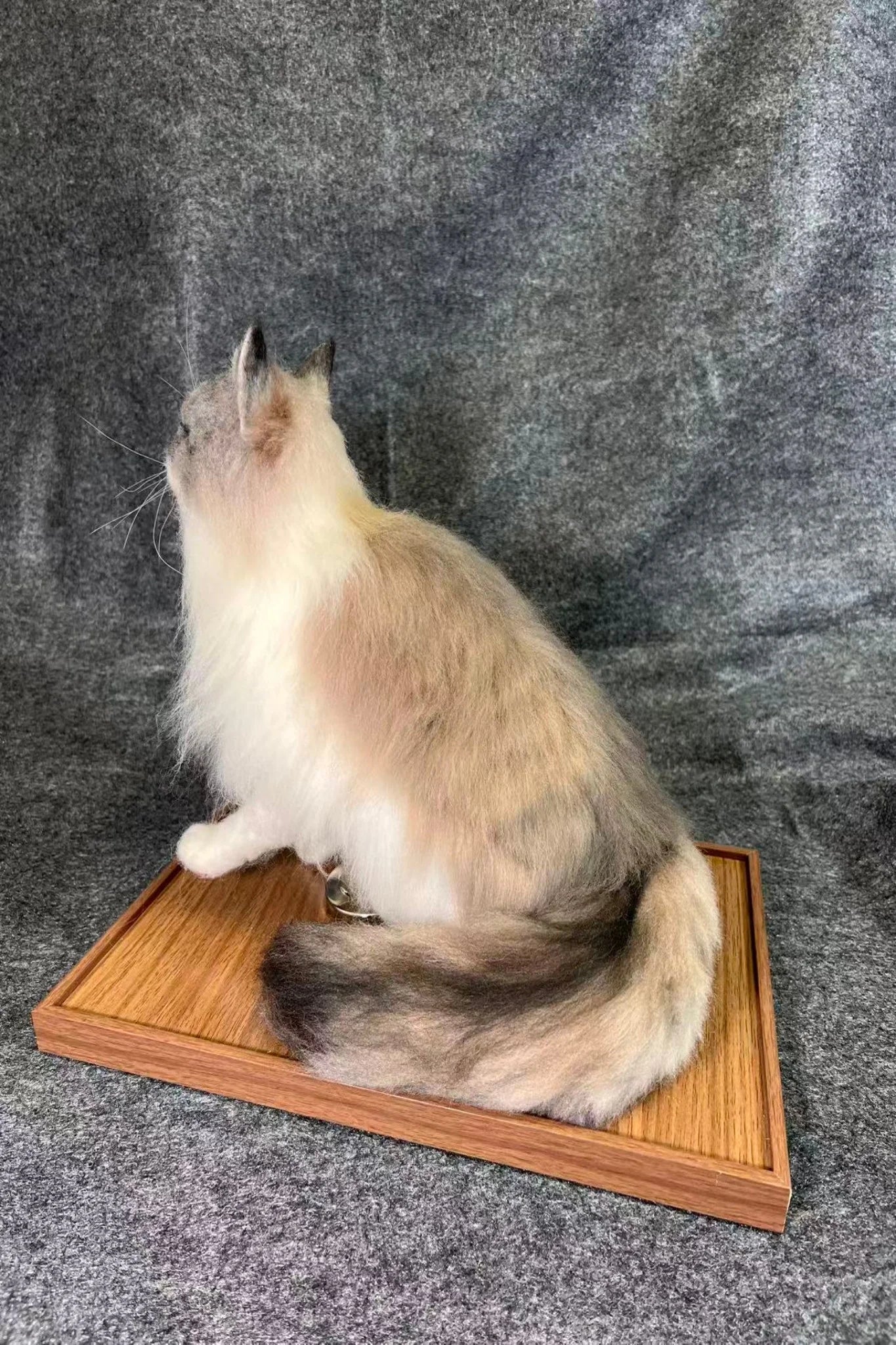 Customized full-body cat portrait