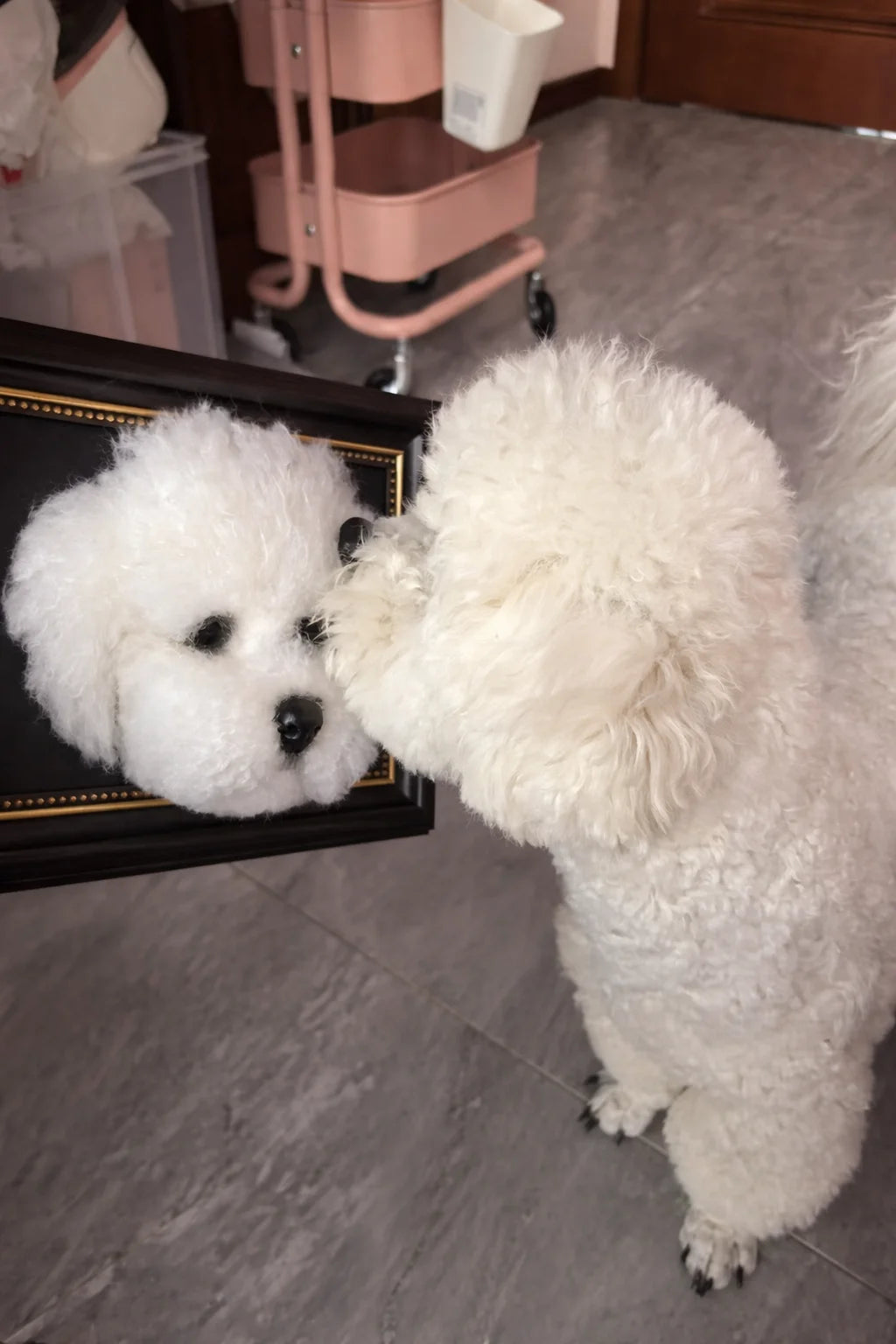 Custom dog photo frame